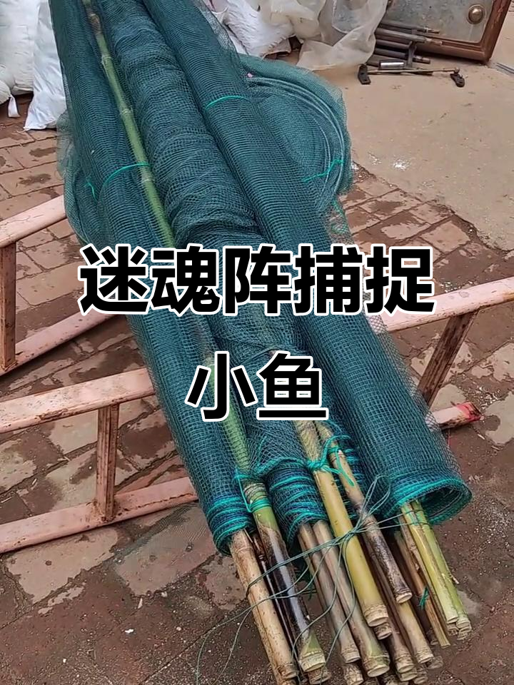 小河池塘捕鱼神器，迷魂阵让你轻松抓获小鱼小虾