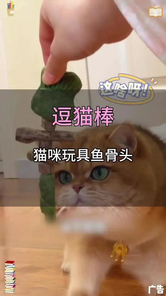 这个鱼骨刺小牙刷,简直不要太好用