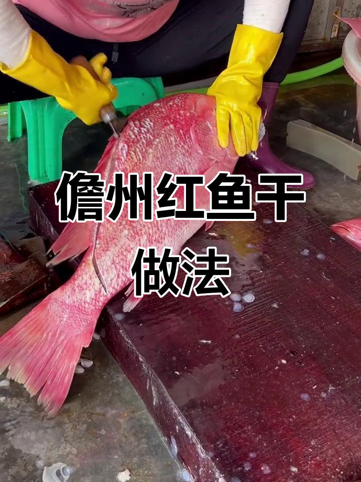 海南儋州红鱼干:深海美味,简单炖煮香气扑鼻
