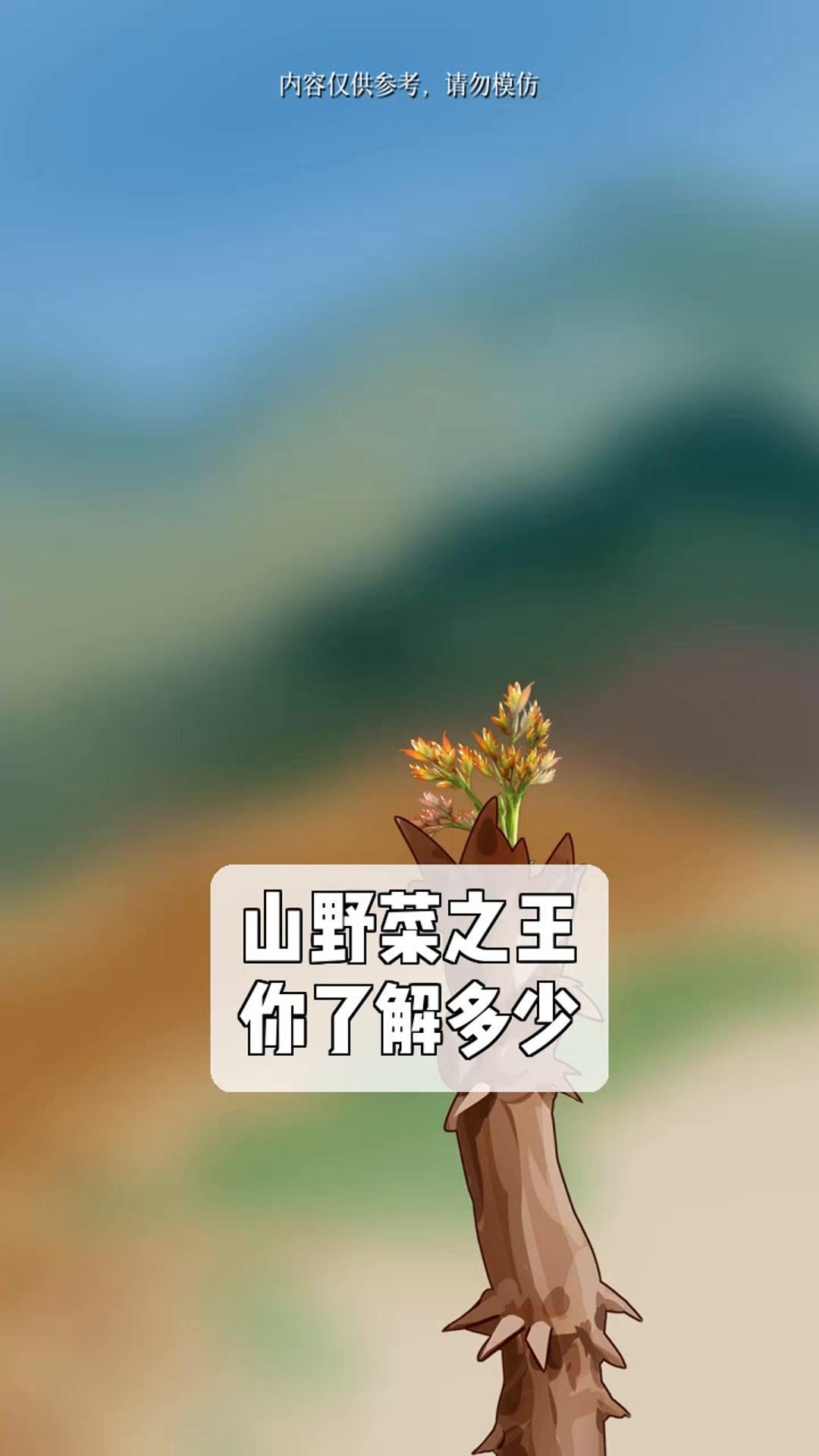 全国各地的薯片口味,大揭秘!