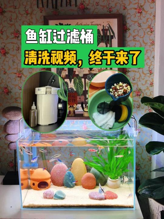 鱼缸过滤桶如何清洗,这个视频终于说清楚了!