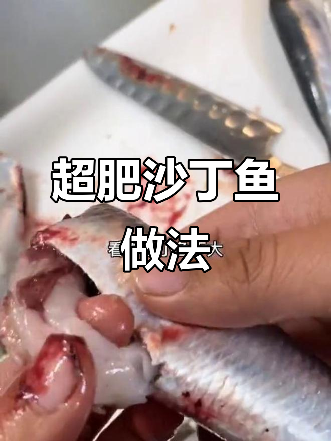 沙丁鱼刺身超肥,煎烤搭配更美味