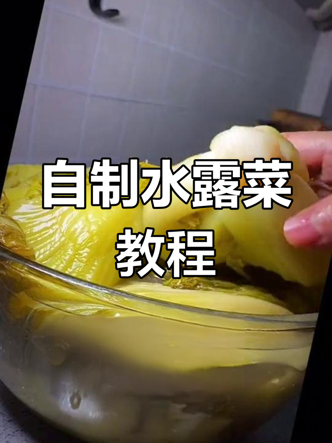 轻松自制水露菜,两三天就能吃