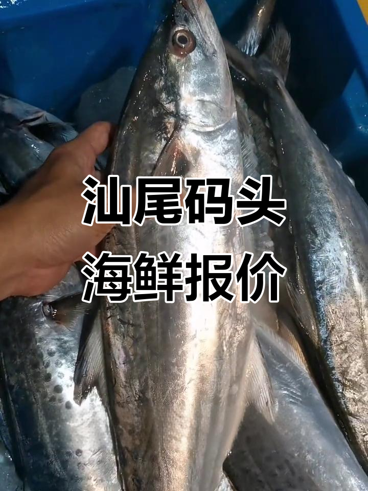 汕尾码头海鲜价格大揭秘，金线鱼到龙利鱼一应俱全