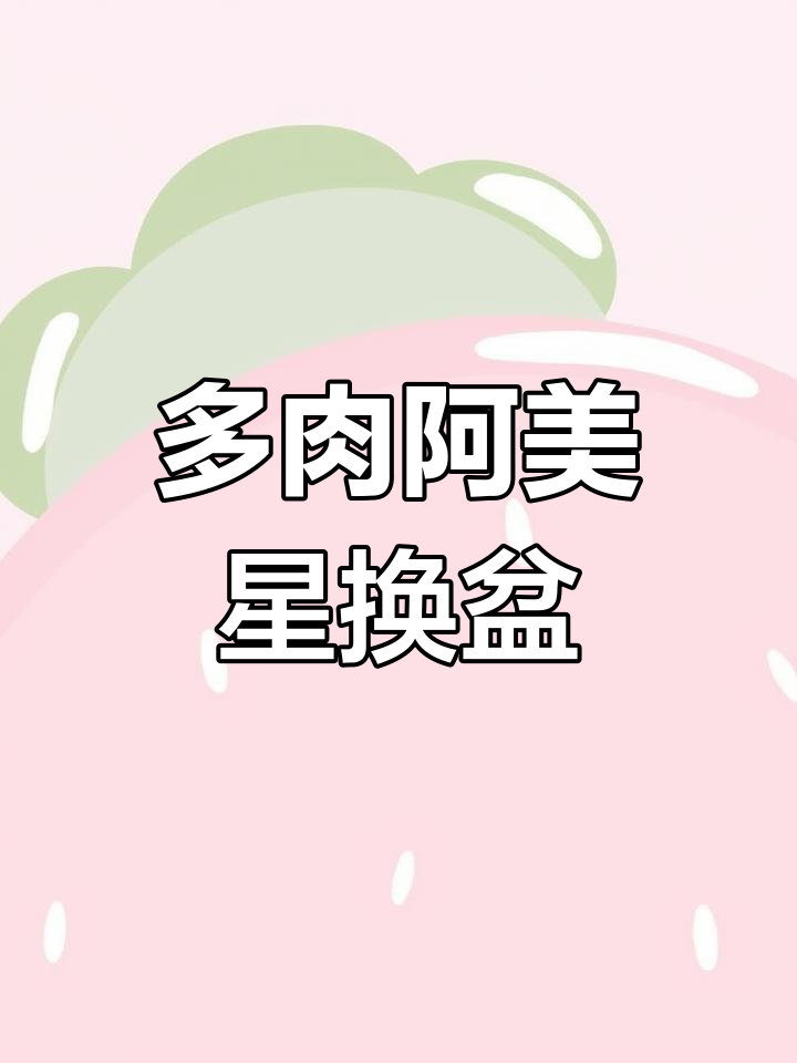 阿美星多肉爆头太快,换大盆助生长