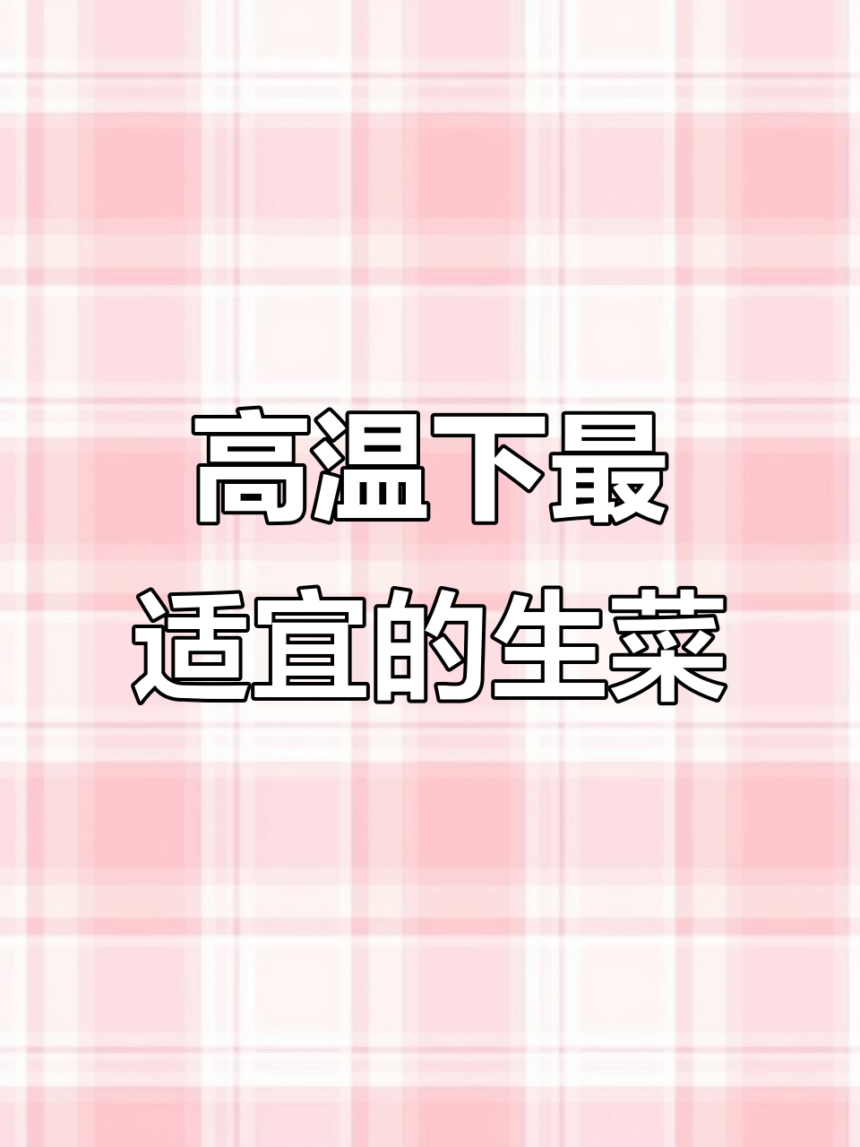 7月种意大利生菜，耐热脆嫩烤肉沙拉香