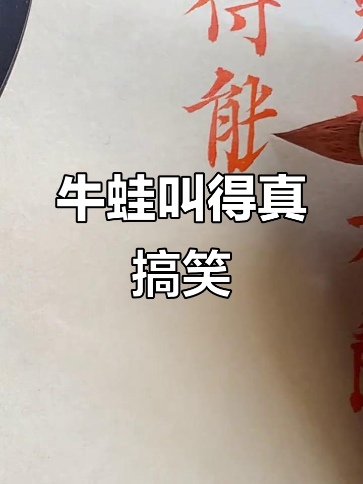 牛蛙叫声惊呆全场,原来它这么像“草壳子”