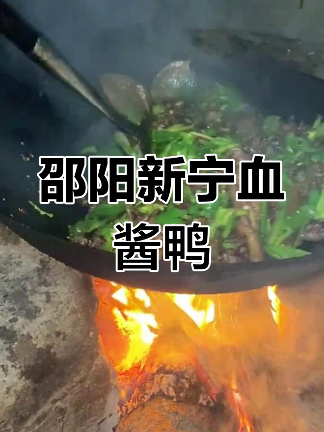 新宁柴火血浆鸭,家乡味十足!