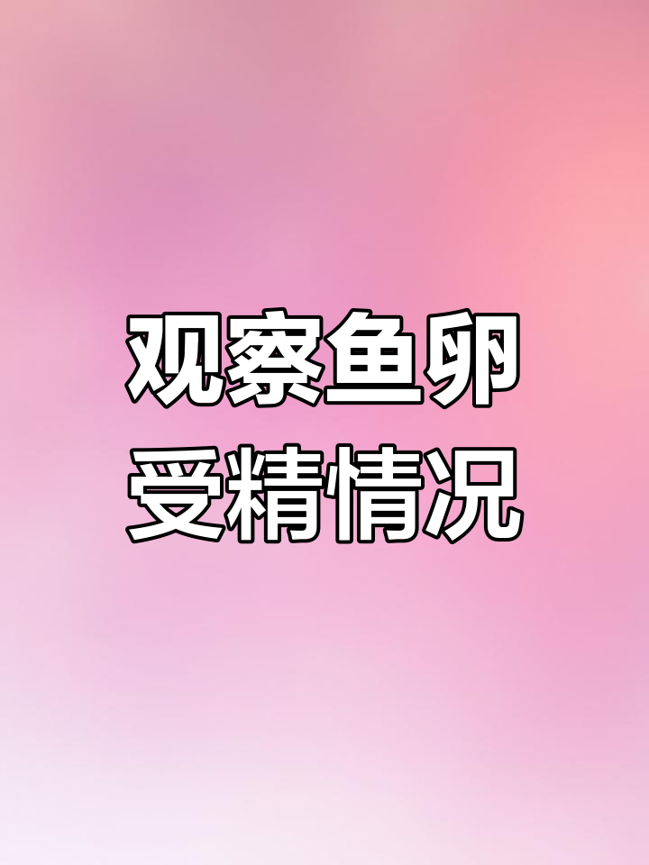 鱼卵受精变化大揭秘,如何处理不受精的卵
