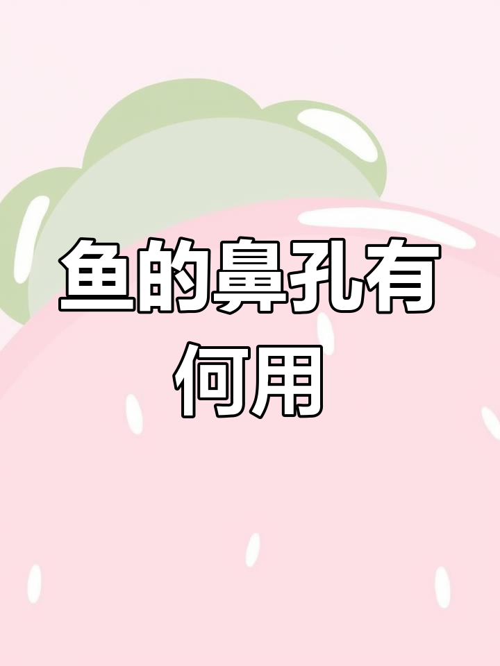 鱼类鼻孔的进化之谜:为何肺鱼有肺部?