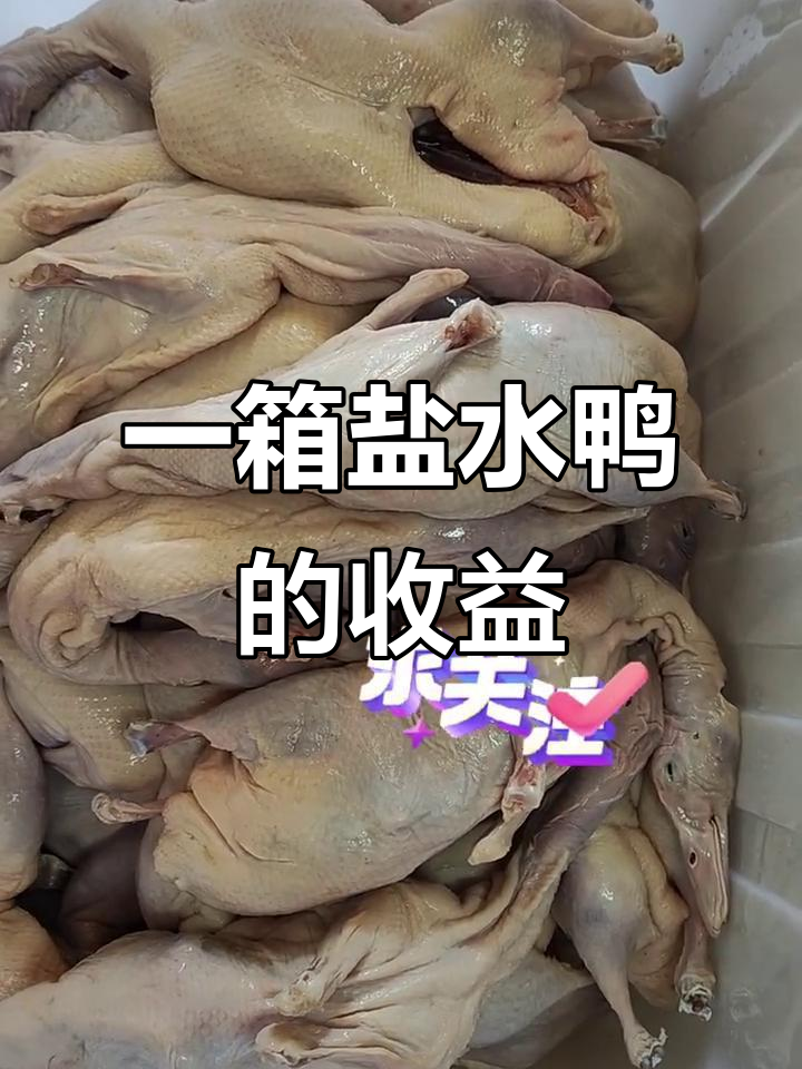 这一箱盐水鸭能赚多少钱?创业路上,利润到底有多高