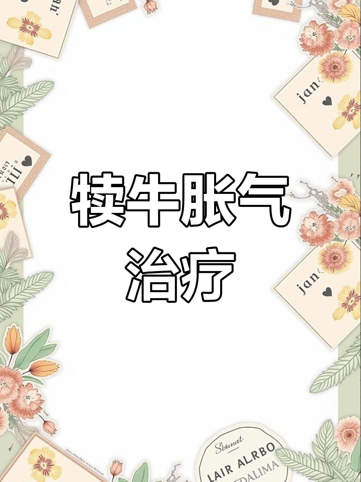 犊牛胀气缓解法:鱼石脂+酒精灌服