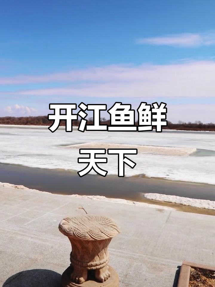 4月4日乌苏里江虎林段开江,鱼鲜等你尝