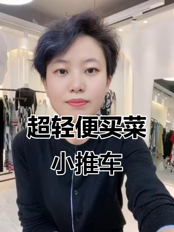 轻巧买菜小拉车,宝宝巴士车主必备