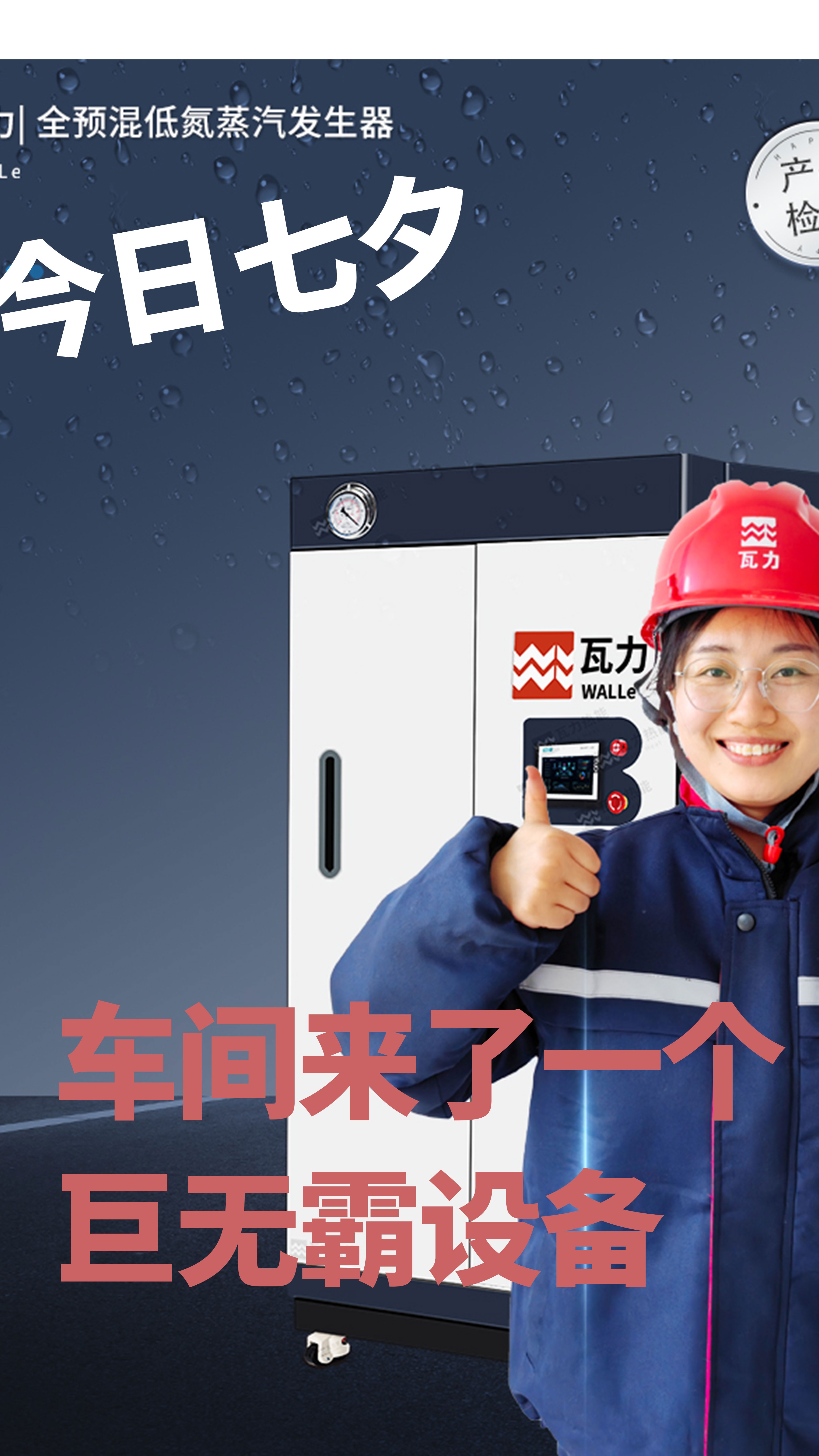 全预混低氮燃气蒸汽发生器私人定制,工业生产专用