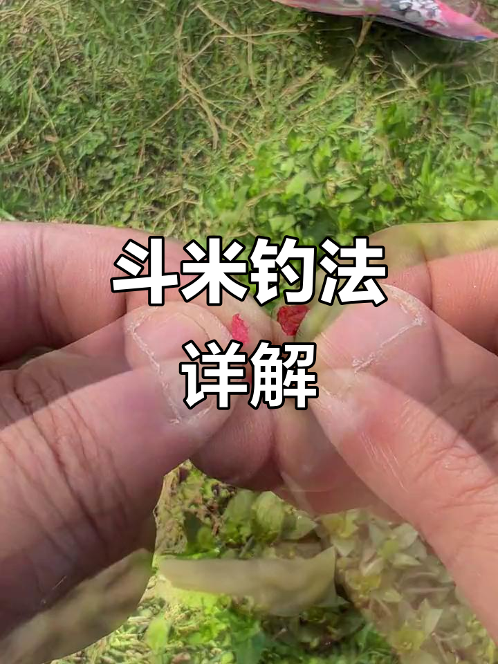 四川斗米钓法揭秘:打窝技巧与钓鱼心得