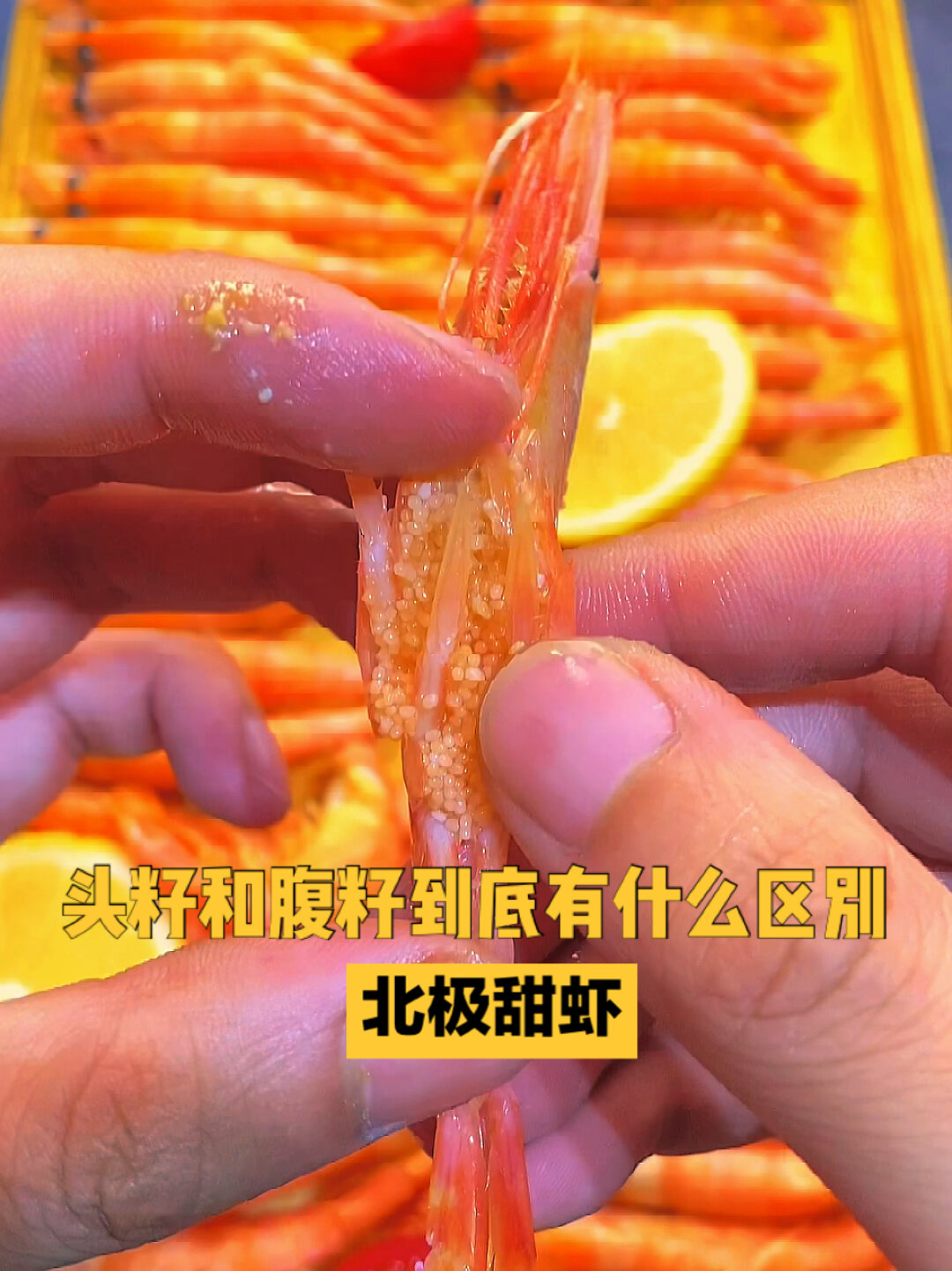 北极甜虾头籽和腹籽到底有什么区别