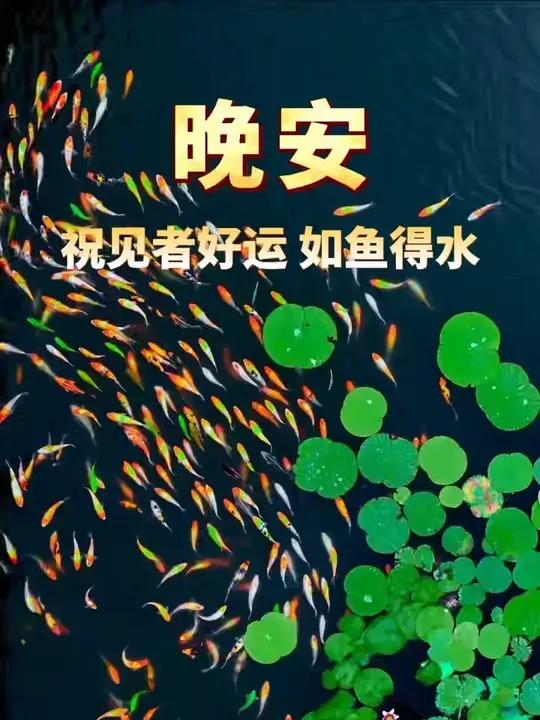 见者好运，如鱼得水。晚安！
