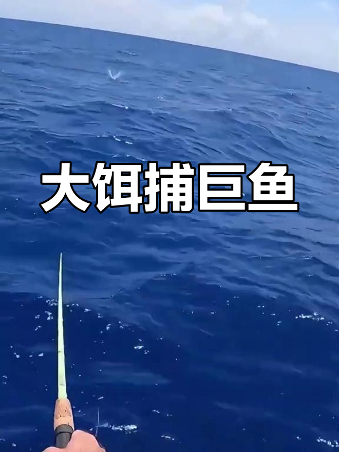 男人挑战巨型马林鱼,半分钟钓钩上大猎物!