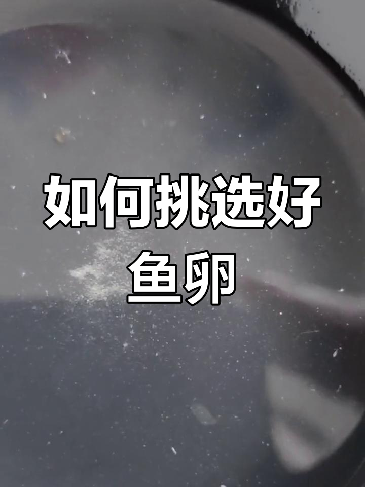 鱼卵质量与孵化技巧,自然养殖更有效