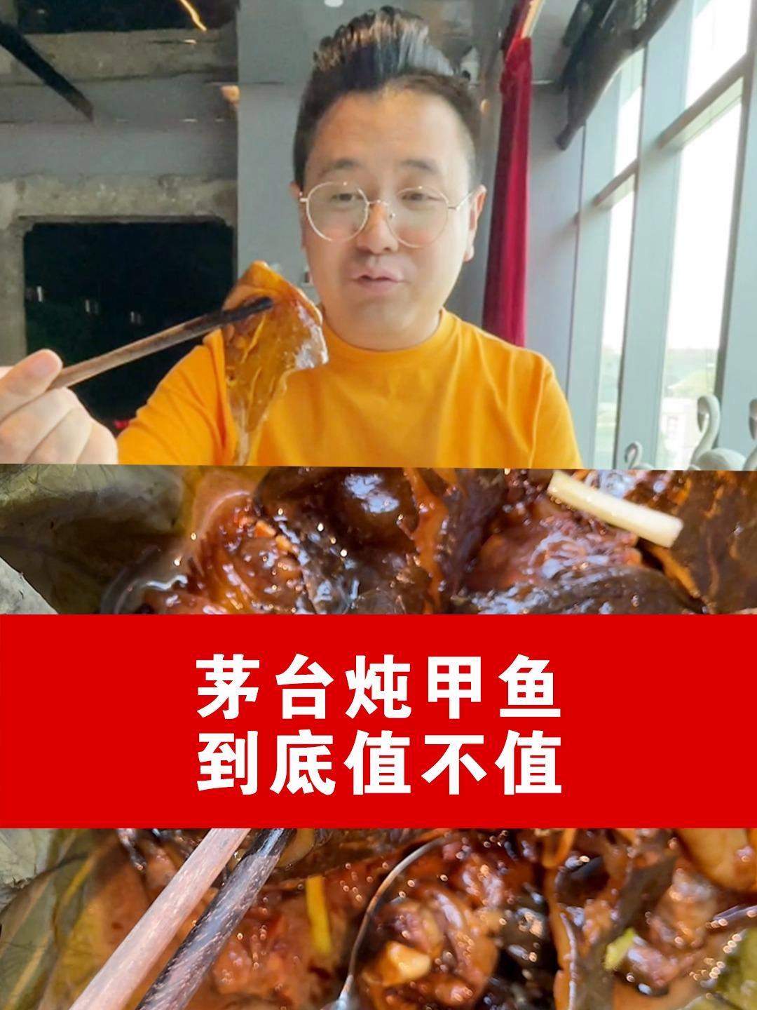 茅台炖甲鱼,一言难尽啊 茅台 甲鱼 茅台炖甲鱼 大logo吃遍中国