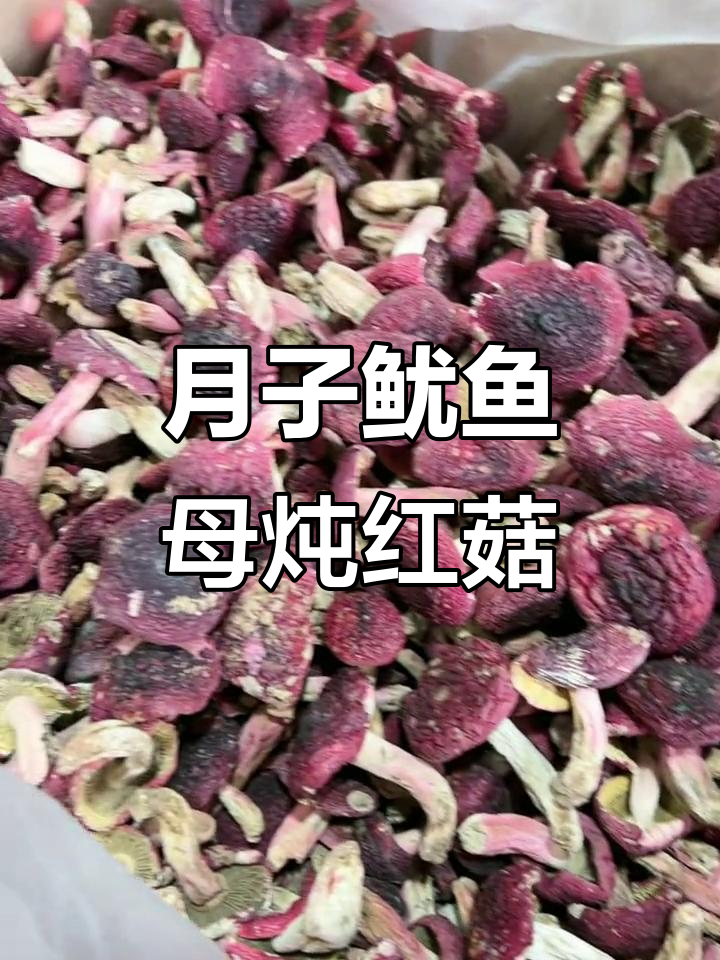 闽南月子鱿鱼母配红菇,滋补美味全纪录