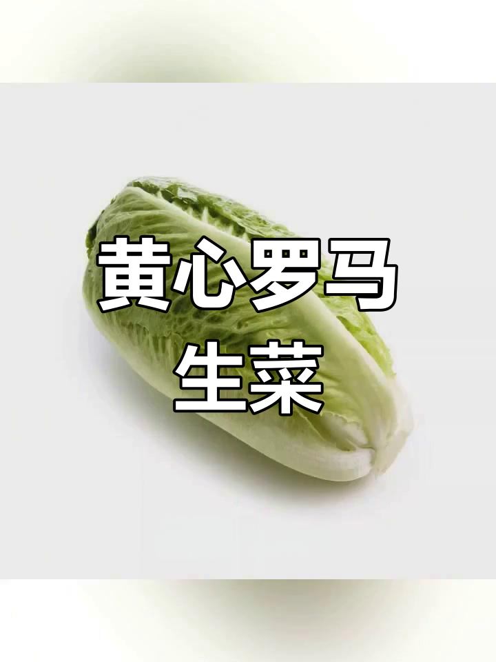新鲜黄心罗马生菜,口感极佳
