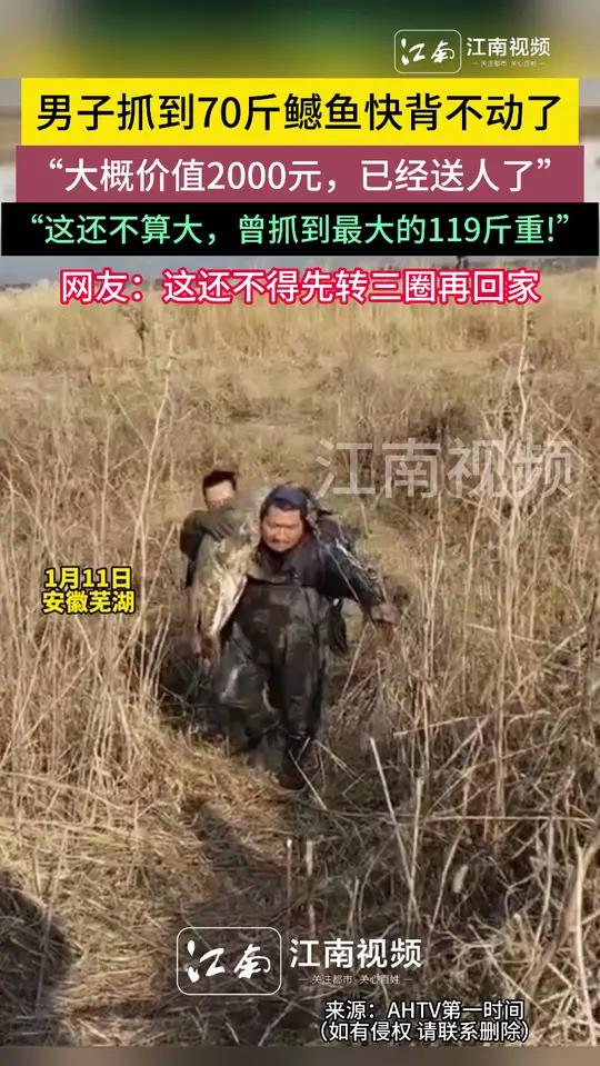 男子抓到70斤鳡鱼快背不动了“大概价值2000元,已经送人了”“这还不算大,曾抓到最大的1
