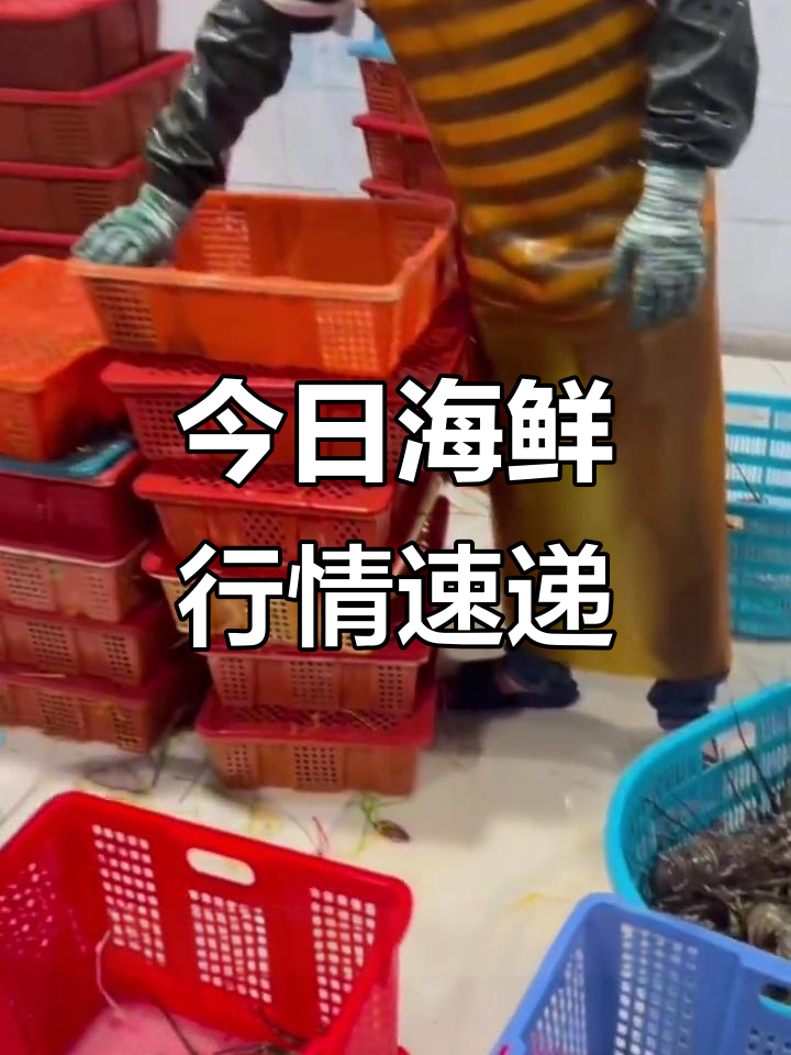 福建海鲜市场大揭秘:皮皮虾、帝王蟹价格每日更新
