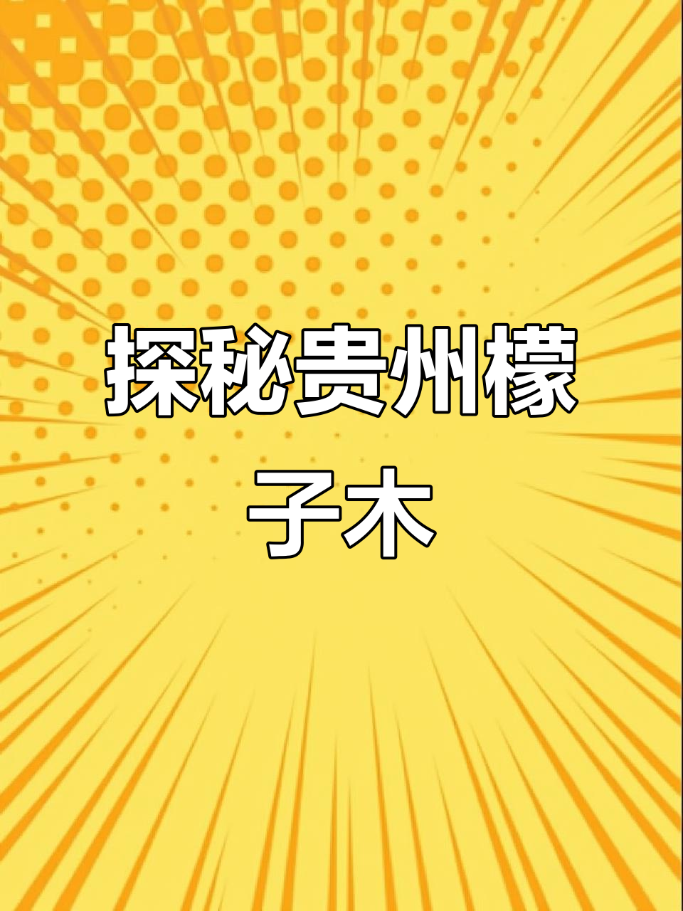 贵州檬子木:独特红木的魅力与盘玩技巧