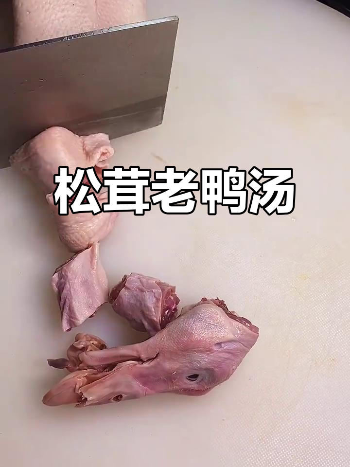 松茸菌菇炖老鸭汤，简单调料做出美味营养