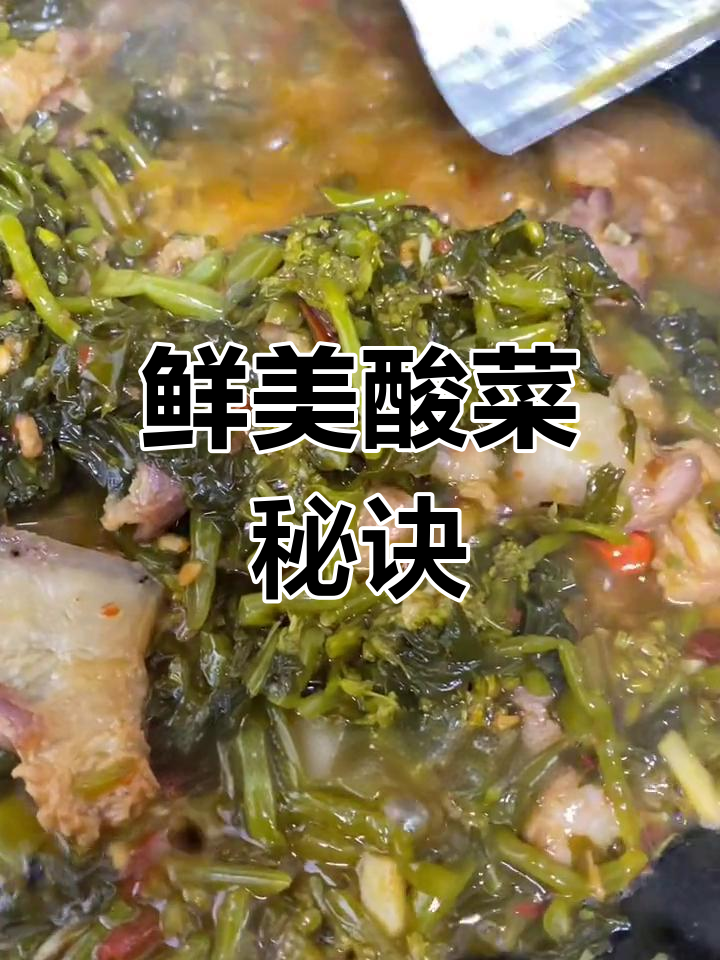 这种酸菜用油菜芽腌制,鲜嫩开胃,拌饭绝佳!