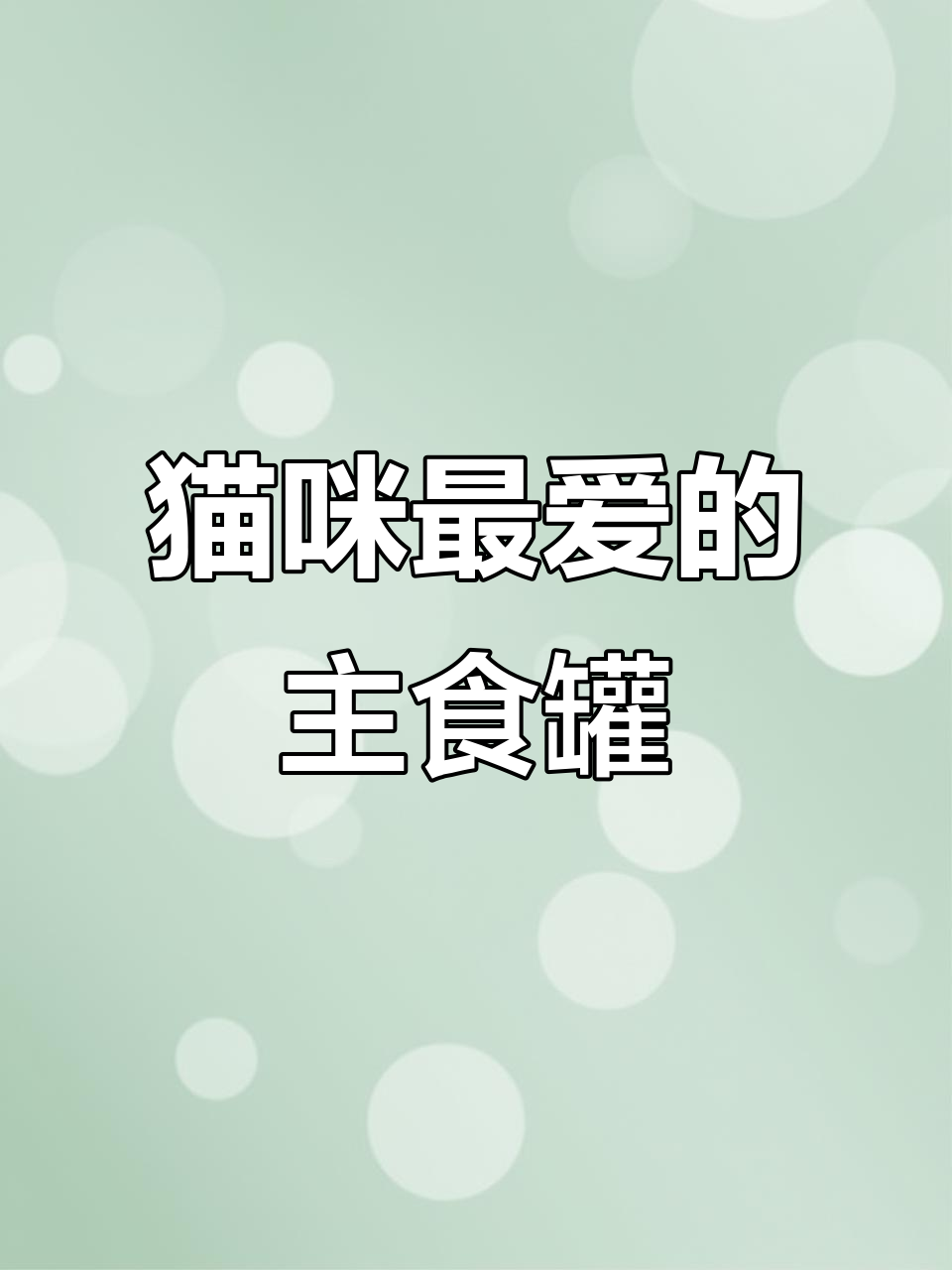 营养又好吃的猫罐头,毛孩子最爱吃的美味
