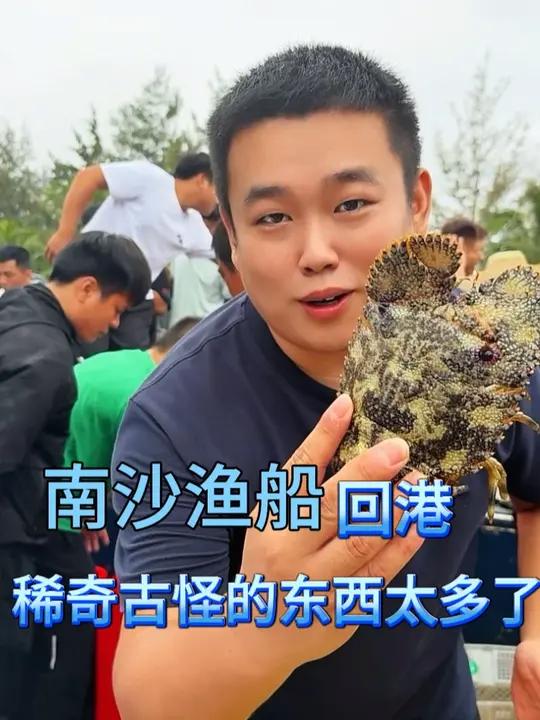南沙群岛的渔船回港 大饱眼福，好多品种你们见都没有见过