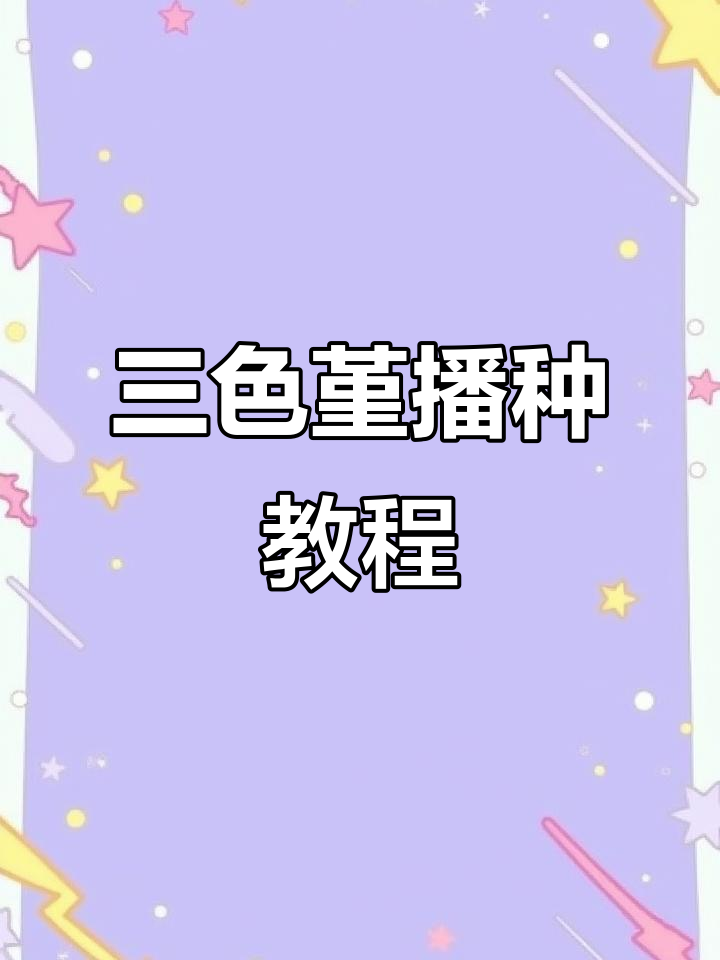 神仙堇角堇三色堇播种全攻略,轻松入门园艺技巧