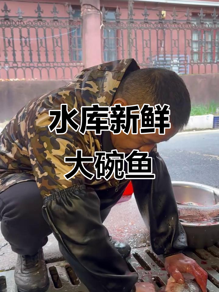 衢州巷子里的宝藏土菜馆，水库新鲜大碗鱼必试