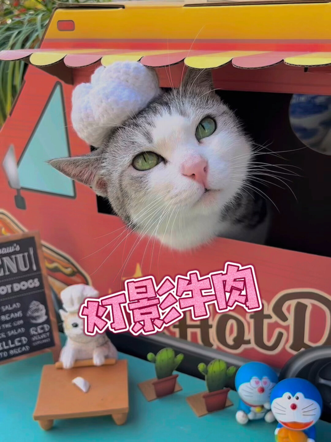 厨猫:你知道什么是灯影牛肉吗?