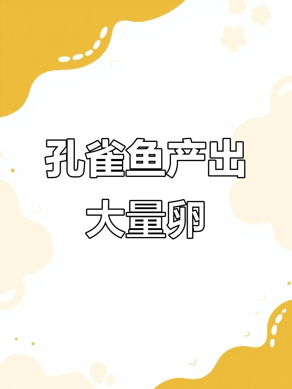 孔雀鱼竟然产卵了?这到底是正常现象还是异常排卵?