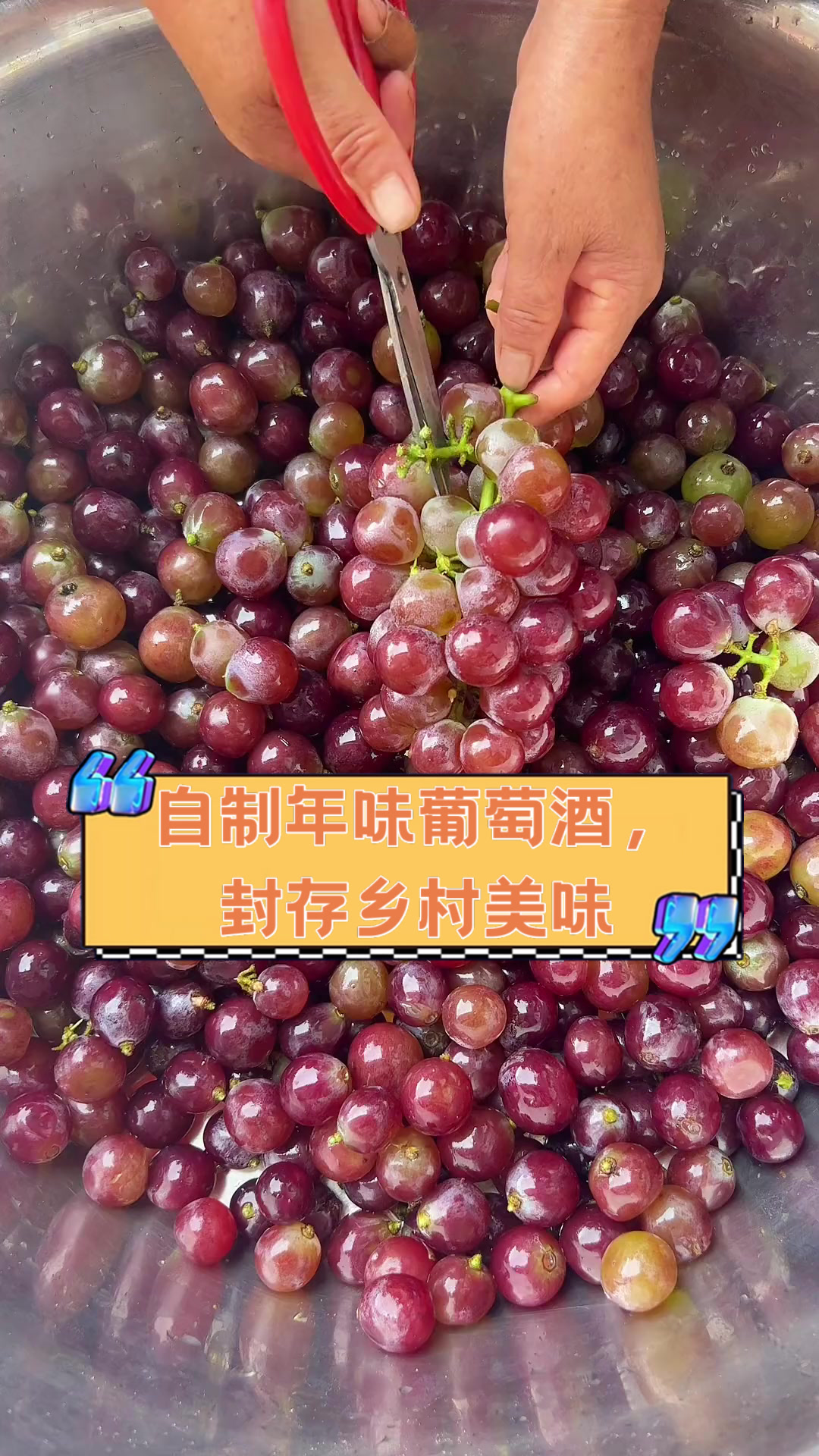 自制年味葡萄酒,封存乡村美味