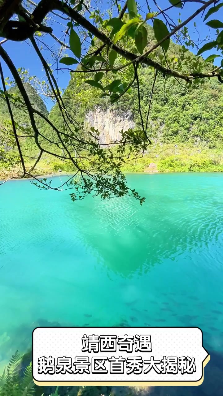 靖西奇遇,鹅泉景区首秀大揭秘