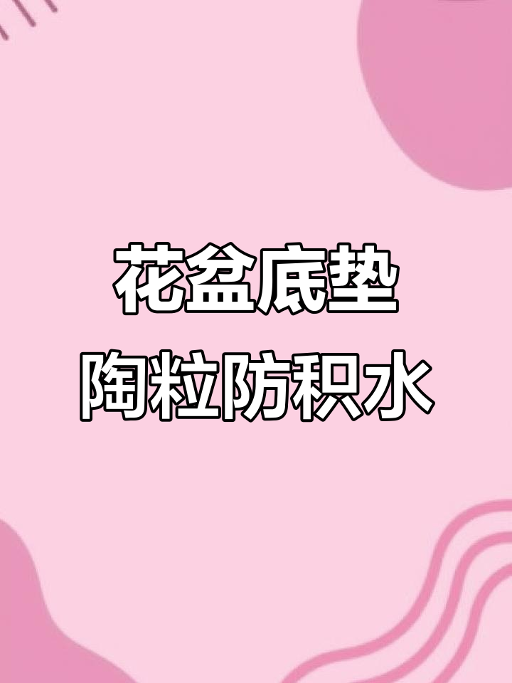 防止烂根的秘密:花盆底部垫陶粒,让植物更健康