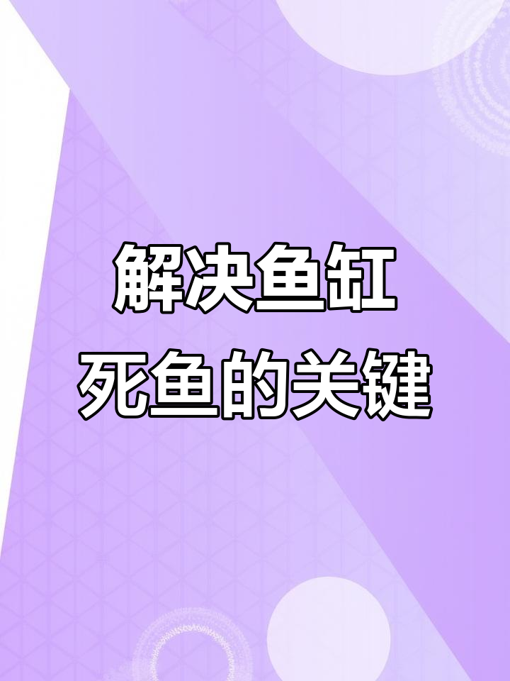 鱼缸死鱼的真正原因找到了,底沙问题不容忽视