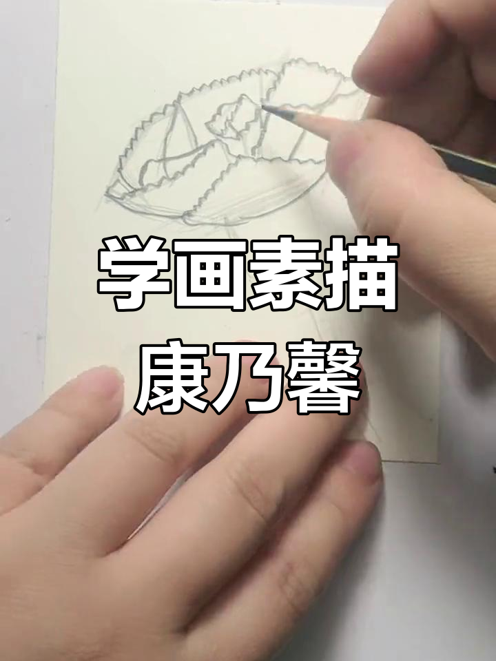 母亲节特别献礼:素描康乃馨,简单又好看!