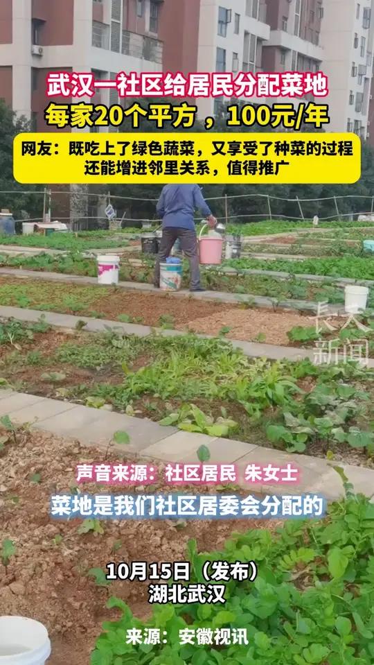 湖北武汉一社区给居民分配菜地,每家20个平方,100元/年。“既吃上了绿色蔬菜,又享受了种