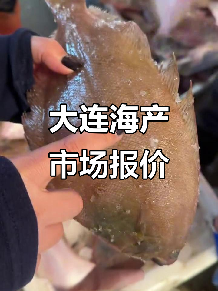 大连辽渔市场最新海鲜行情,渤矮湾刀鱼、偏口等价格一览