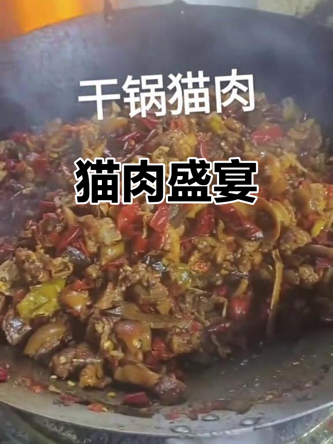 今晚猫肉大餐,毛铺酒助兴!