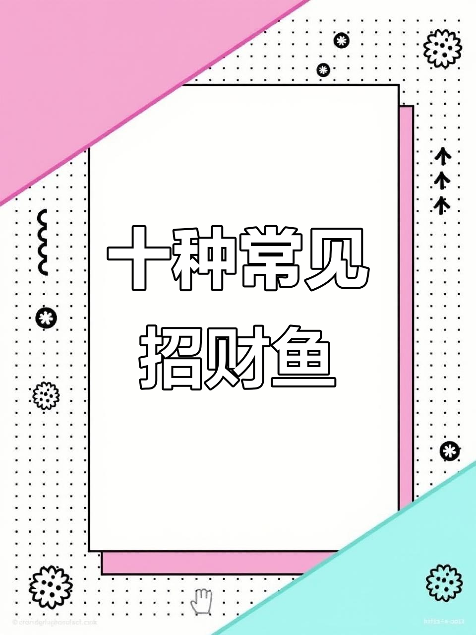 十大招财鱼,看看你认识几种?