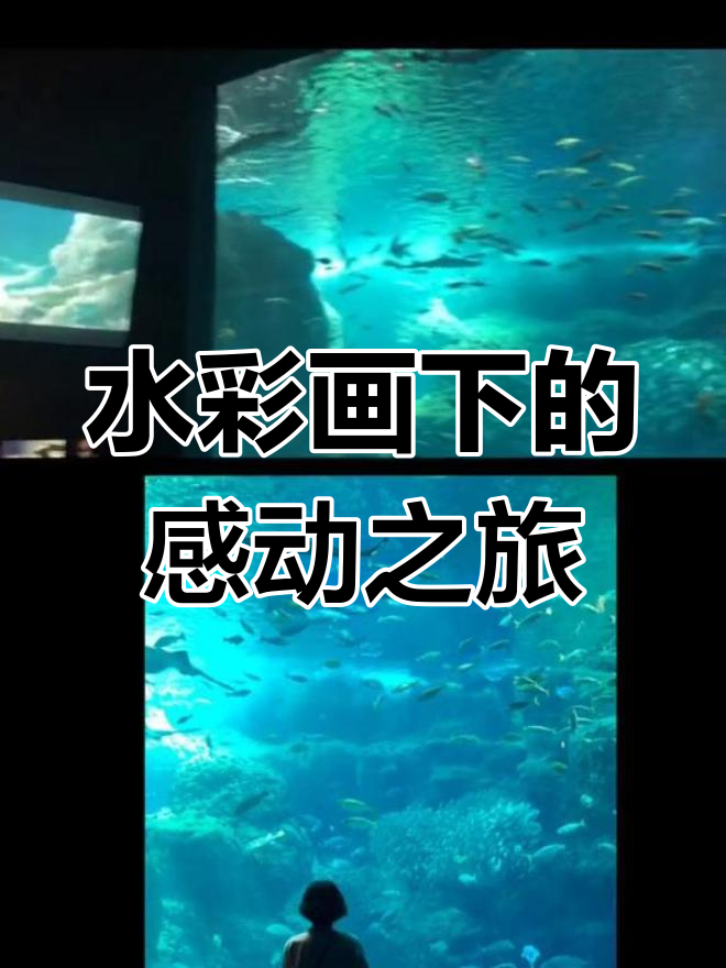 用水彩记录旅行,鱼群与心情的碰撞