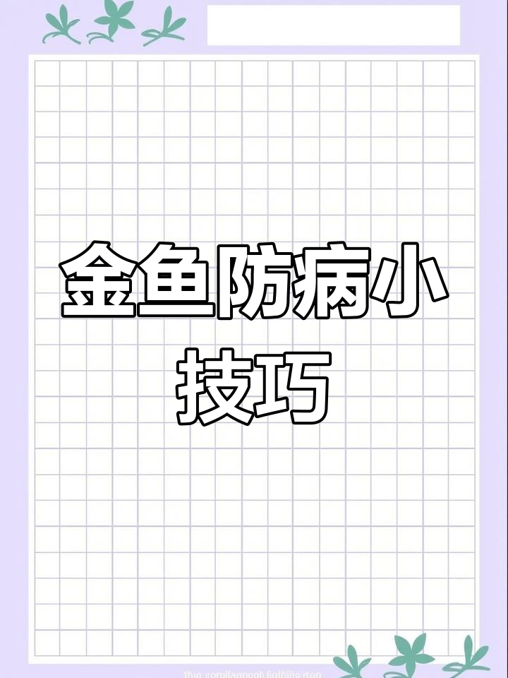 金鱼病季来临,如何提前预防?