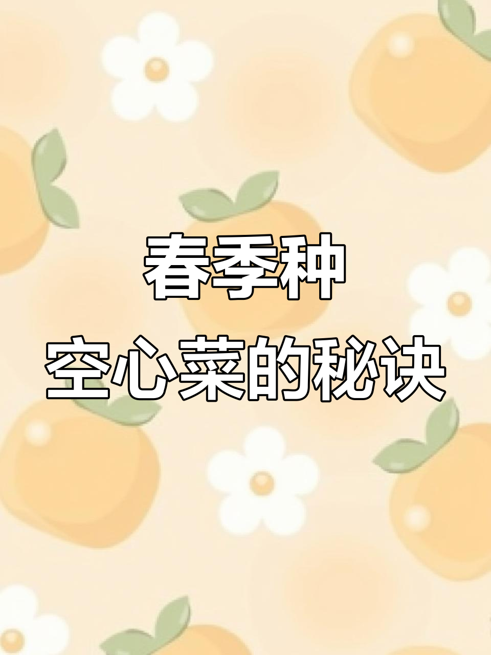 春季空心菜种植技巧,轻松搞定懒人菜园